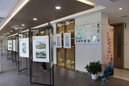 心懷青云志，八一薪火傳——寶山路街道開展慶“八一”主題教育活動