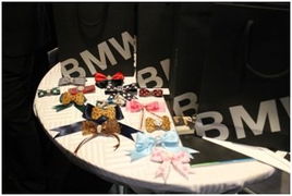 京順寶BMW 3系麗人節主題活動圓滿落幕，以“悅己”之姿，馭風而行